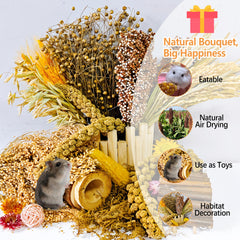 Acsist hámster-colores-naturales-jaula; mejora estética y ambiente.