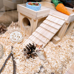Acsist escalera para hamster, acceso fácil al área superior.