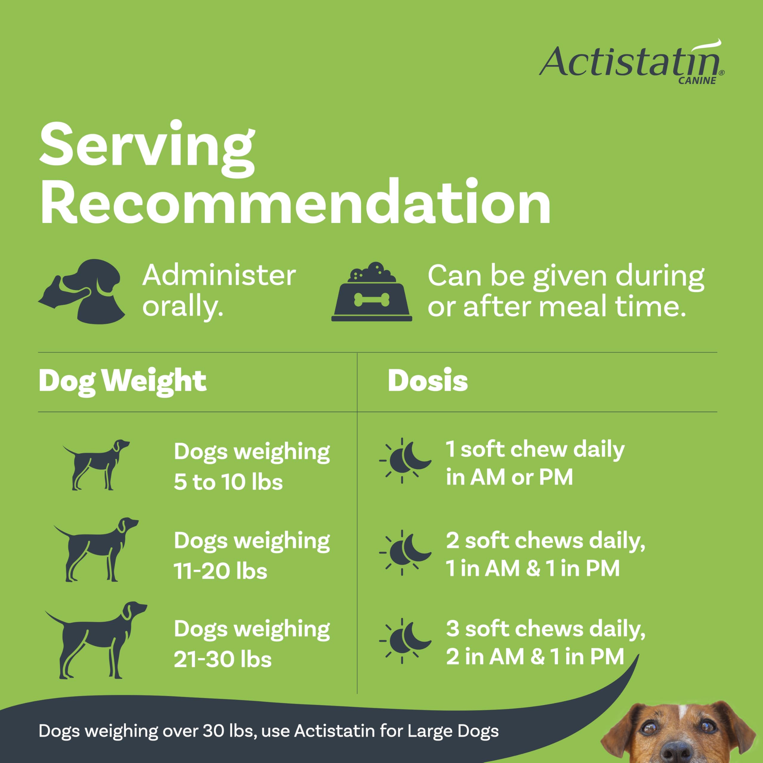 Actistatin dosis diaria para perros pequeños, ideal con rutina regular.