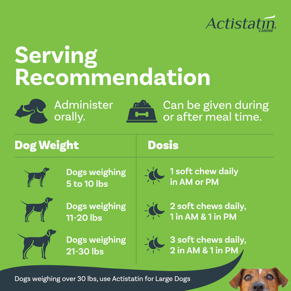Actistatin dosis diaria para perros pequeños, ideal con rutina regular.