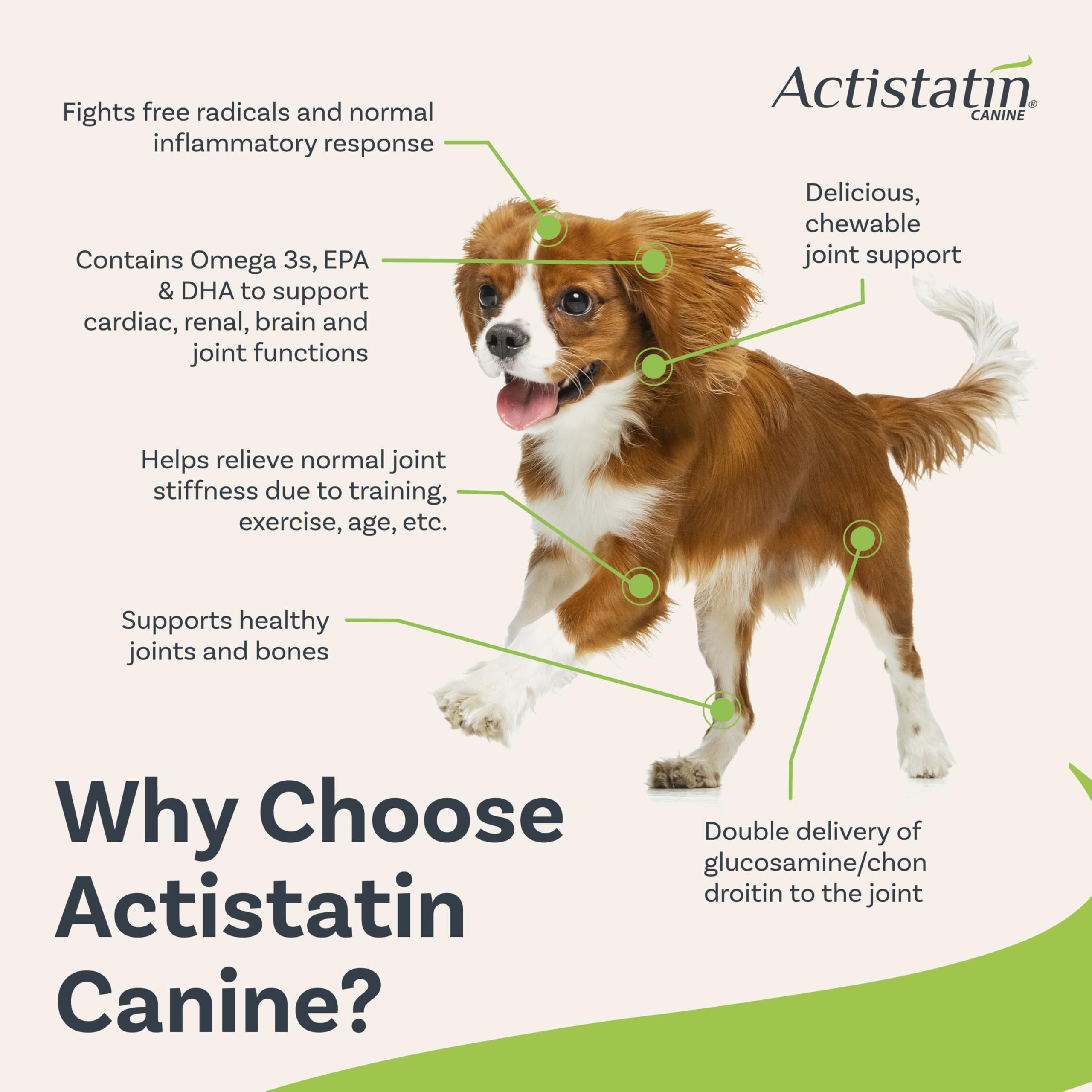 Actistatin gomitas suaves para perros pequeños, imagen de perro masticando sin esfuerzo.