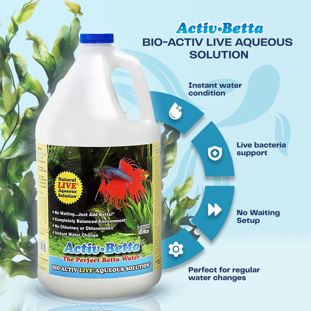 Activ Betta Bio-Activ Live: ciclaje del acuario para un entorno estable y rápido.