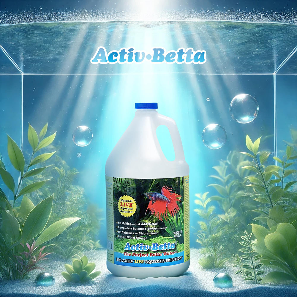 Activ Betta Bio-Activ Live: formación de biopelícula para un ecosistema acuático equilibrado.