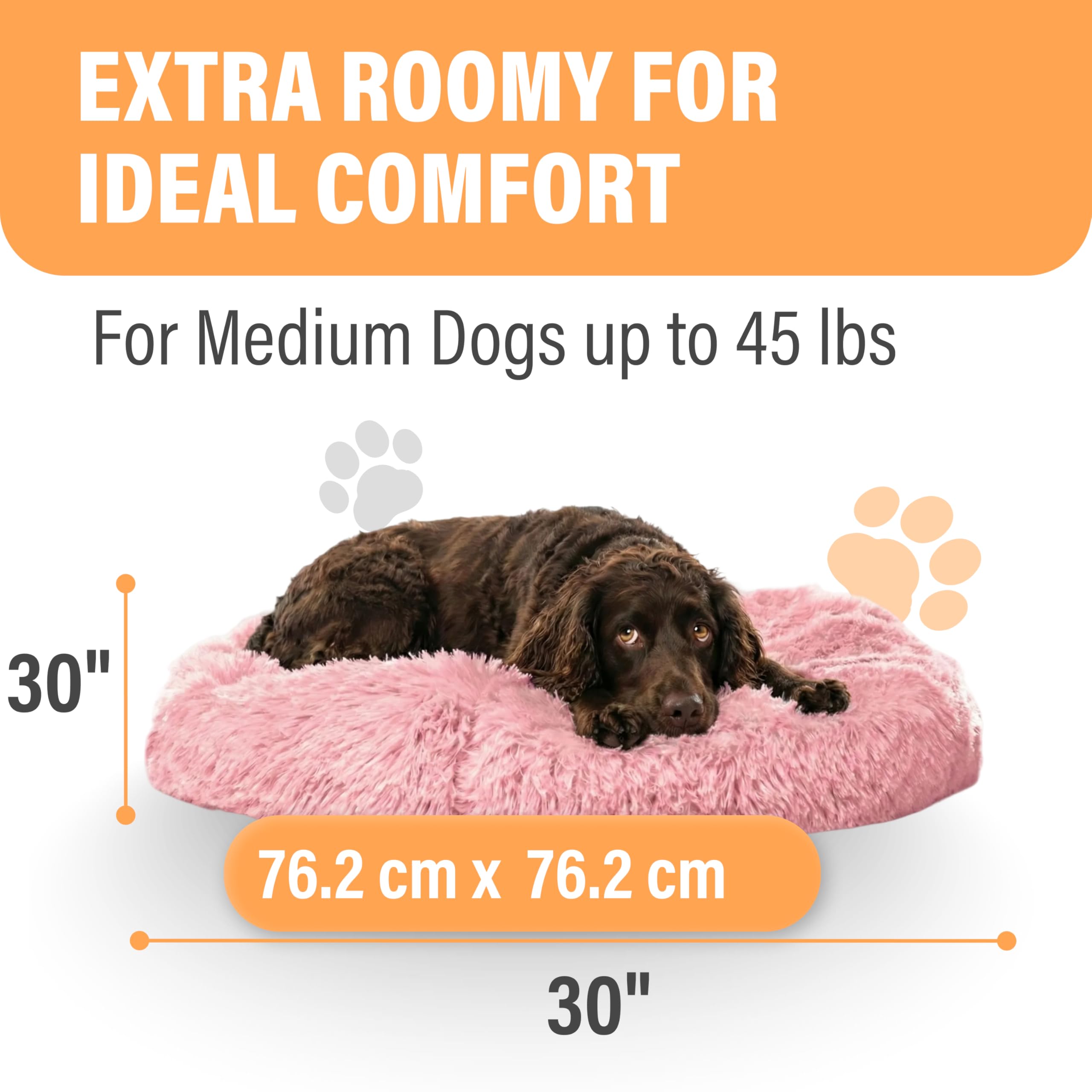 Active Pets cama en sala, ambiente relajante para tu mascota.