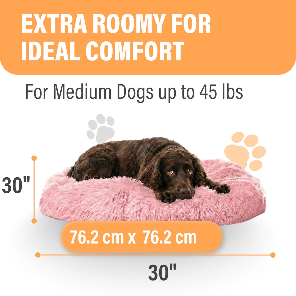 Active Pets cama en sala, ambiente relajante para tu mascota.