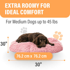 Active Pets cama en sala, ambiente relajante para tu mascota.