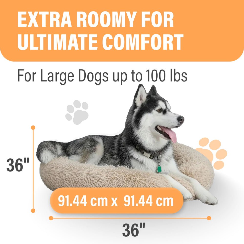 Active Pets funda removible lavable para limpieza fácil