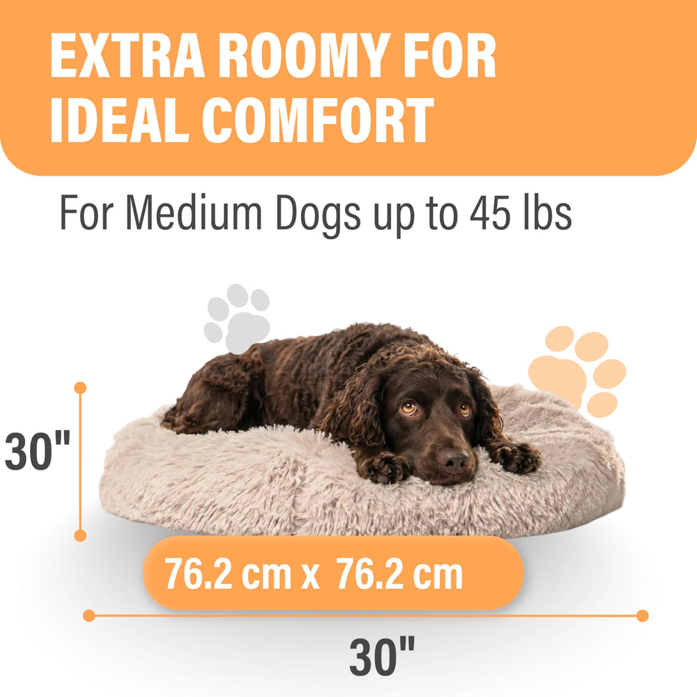 Active Pets cama portátil para perros ligera para viajar