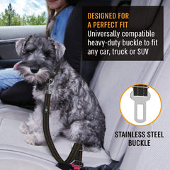 Active Pets materiales duraderos nylon y zinc para mayor resistencia