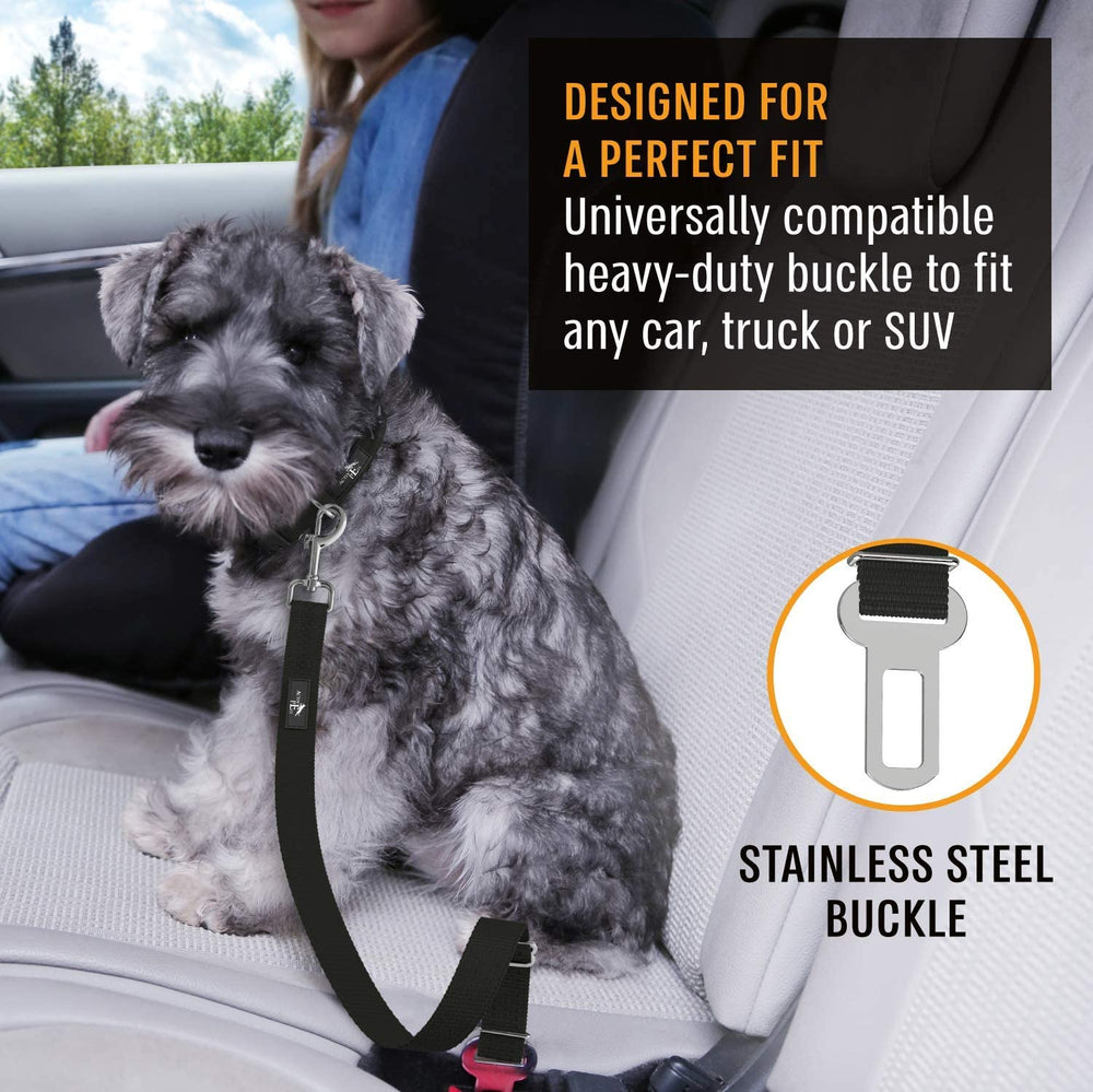 Active Pets Nylon resistente de alta durabilidad para viajes diarios con tu mascota.