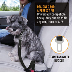 Active Pets Nylon resistente de alta durabilidad para viajes diarios con tu mascota.