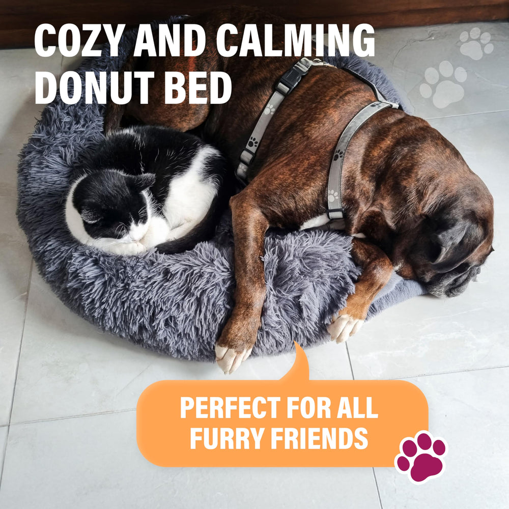 Active Pets cama mediana 30x30, ideal para perros de tamaño medio.