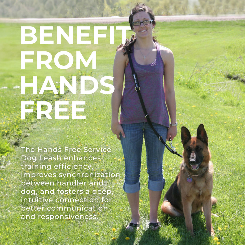 Correa ActiveDogs cintura ergonómica distribuye el peso para comodidad.