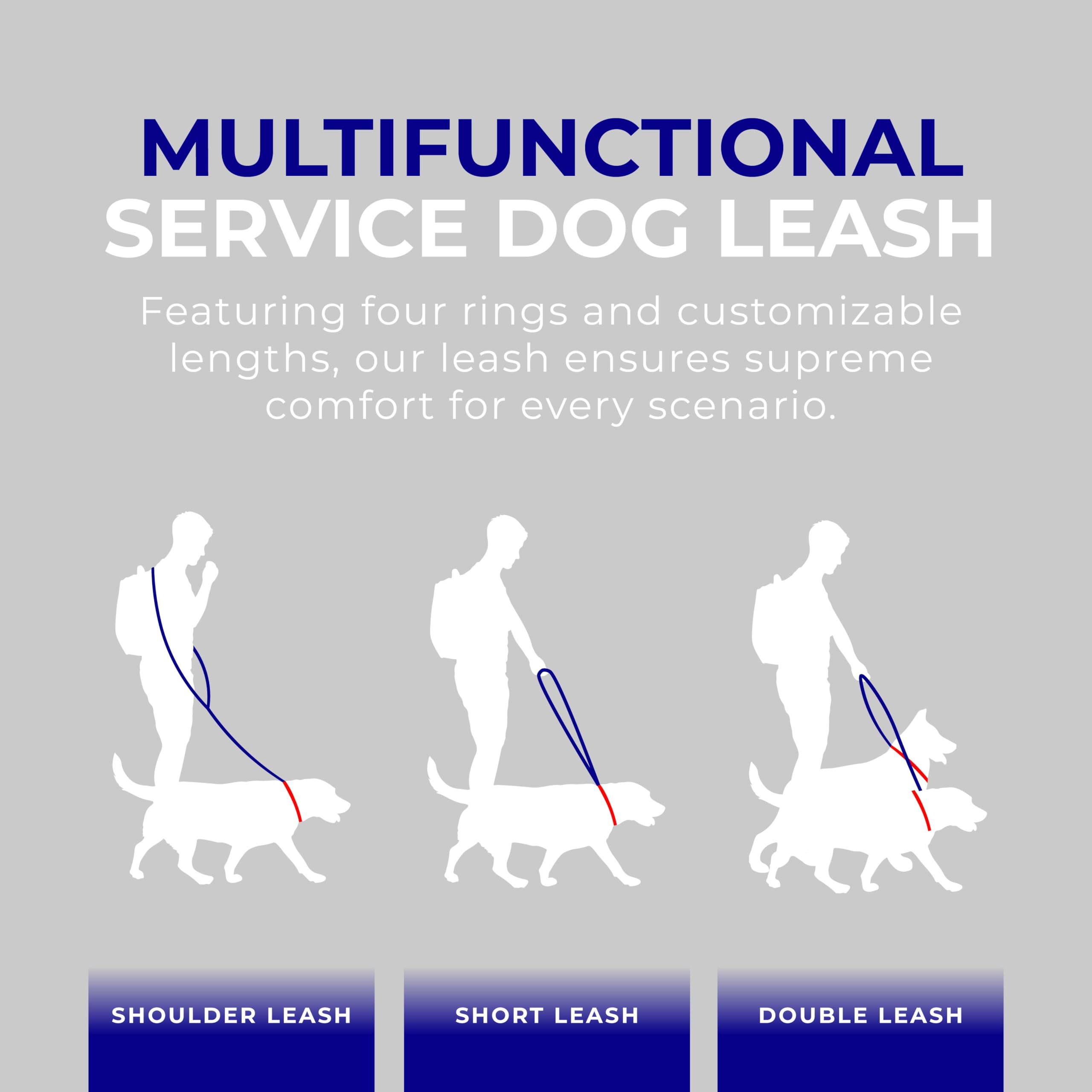 Activedogs mejora la coordinación entre perro de servicio y manejador