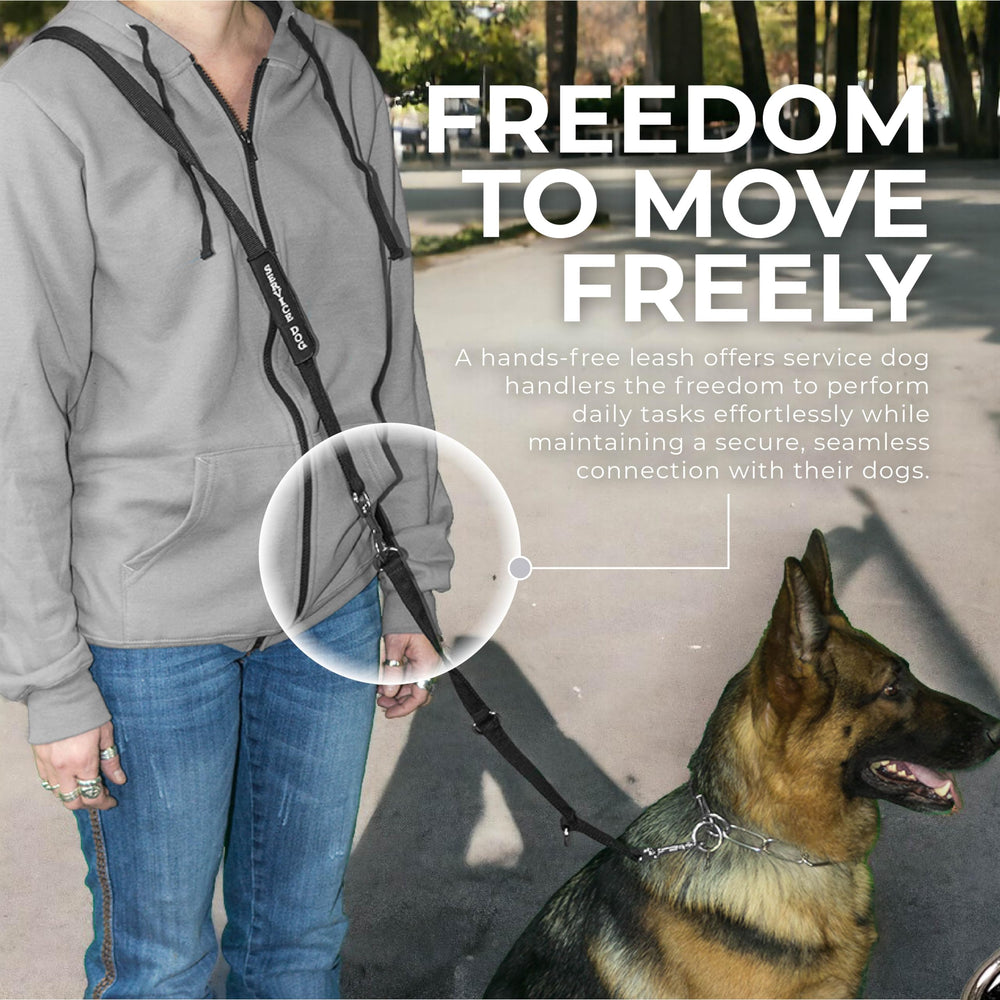 Activedogs fabricación en USA garantiza durabilidad y calidad