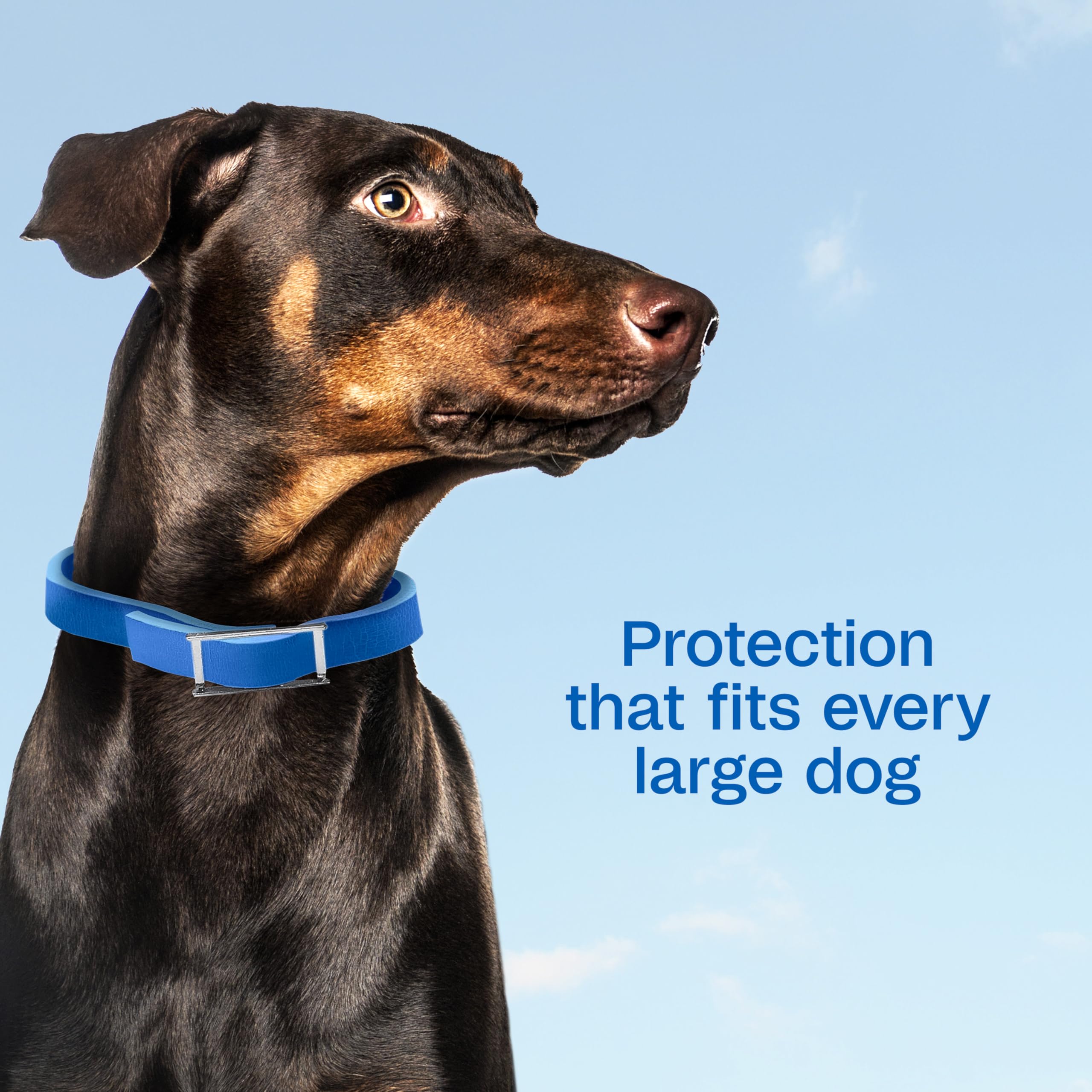 Collar ajustable Adams Plus para perros grandes y cómodos