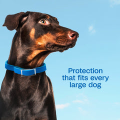 Collar ajustable Adams Plus para perros grandes y cómodos