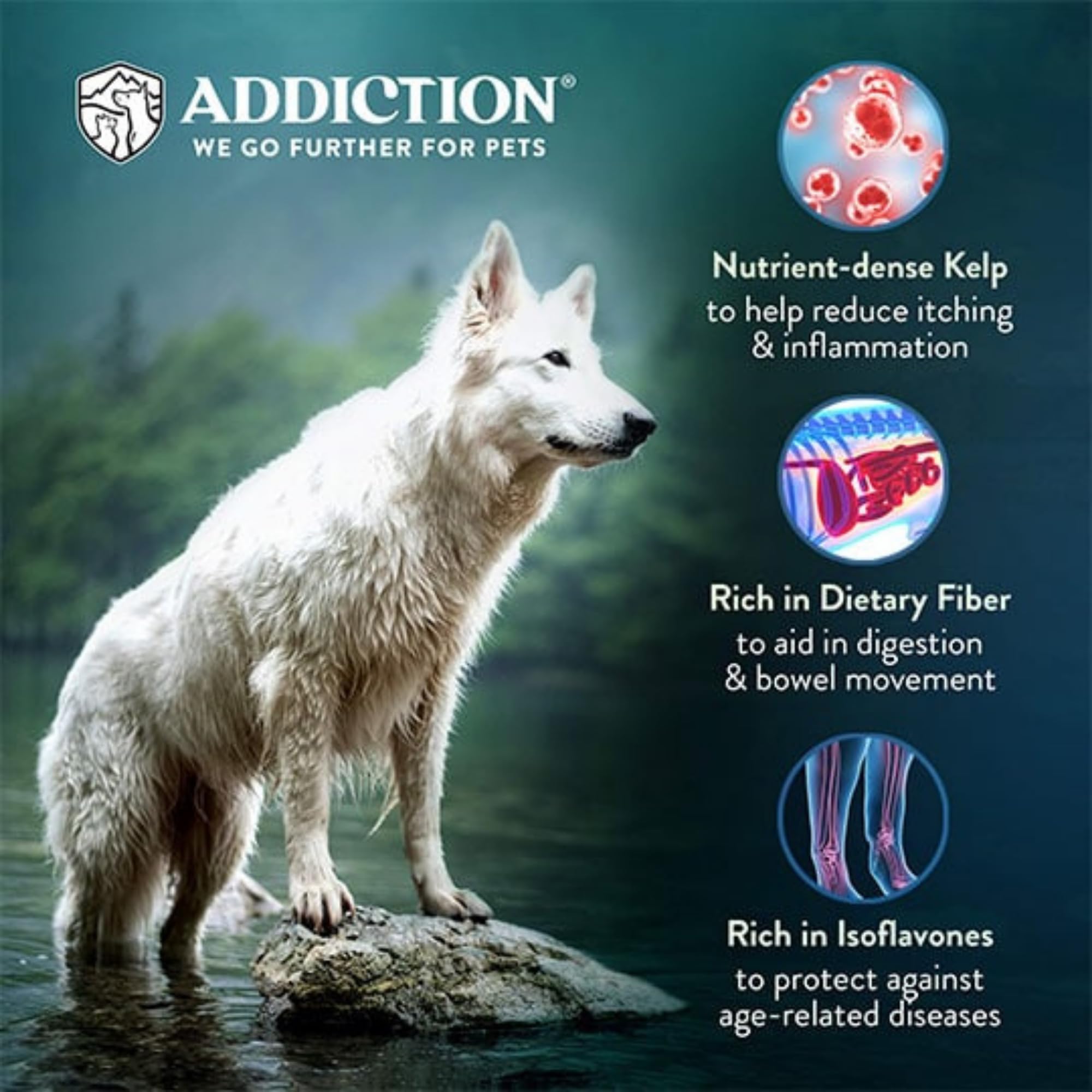 Addiction Zen Vegetarian: linaza rica en Omega-3 para pelaje brillante.