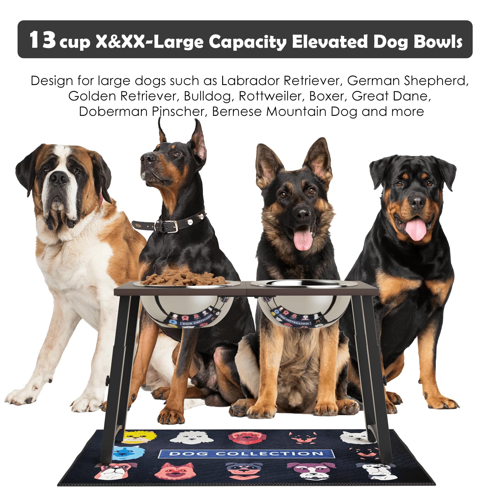 ADENGL ajustes de cuatro alturas para perros medianos a grandes mejoran ergonomía al comer.