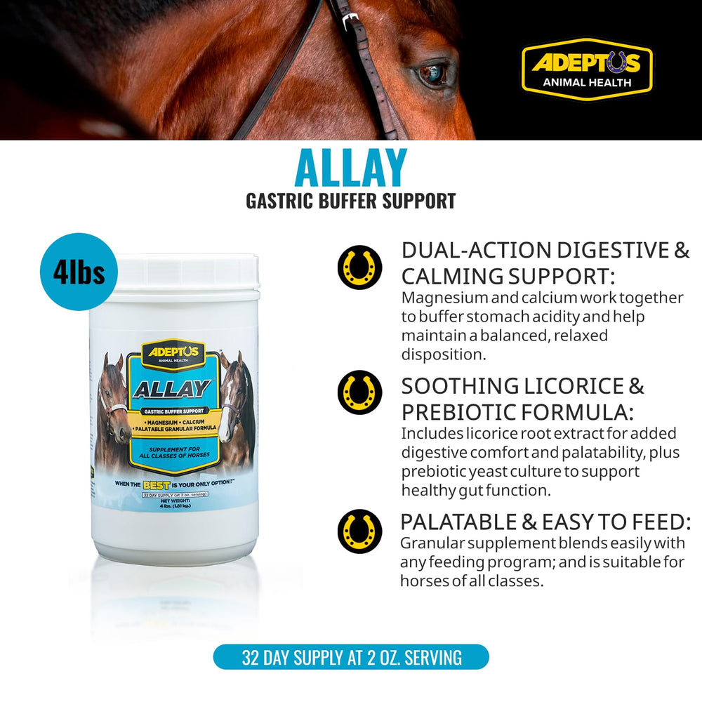 Adeptus Nutrition Allay medición de 2 onzas para mezclar.