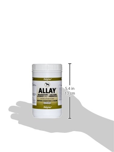 Adeptus Nutrition Allay mezcla prebiótica base para digestión.