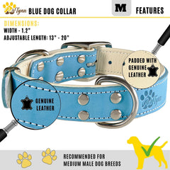 Collar ADITYNA de cuero con doble anilla en D para mayor seguridad.