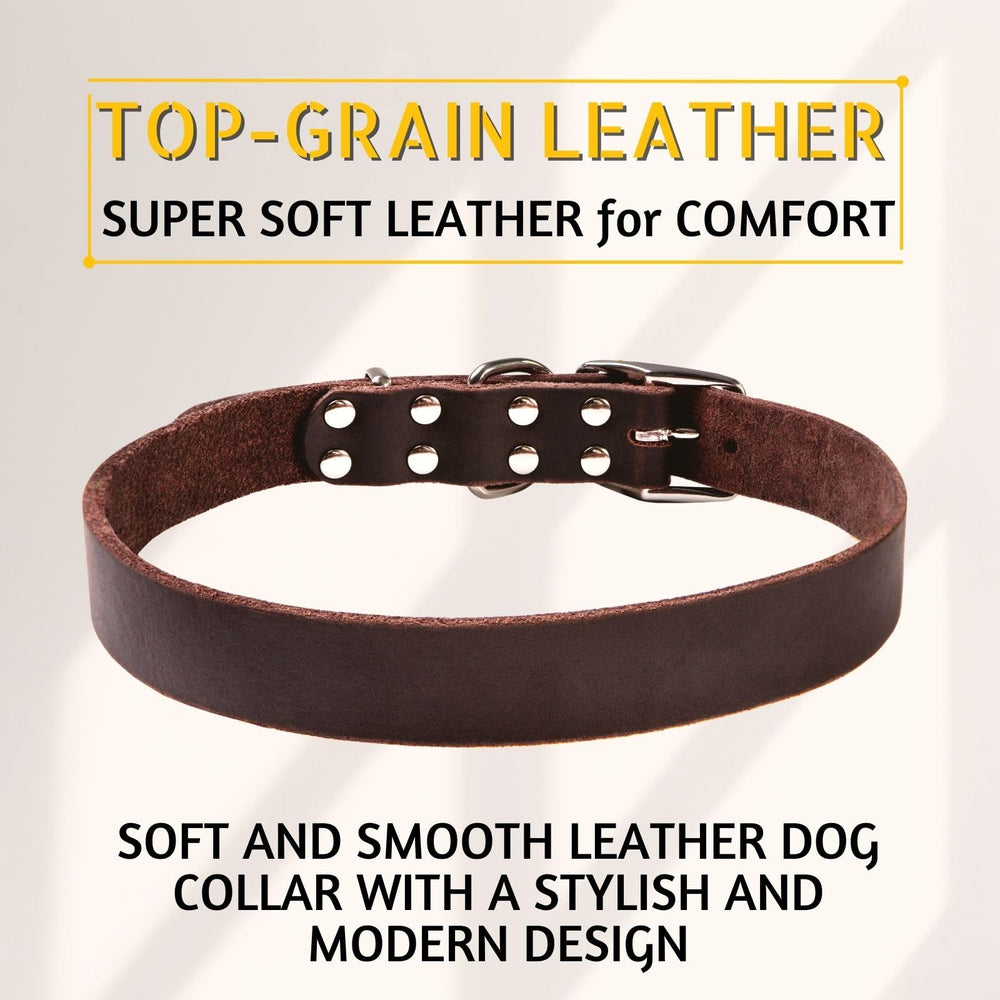Adityna collar de cuero, primer plano, resistente a tirones para perros grandes.