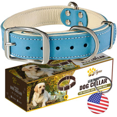 Collar ADITYNA de cuero premium con doble hebilla, ideal para paseos.