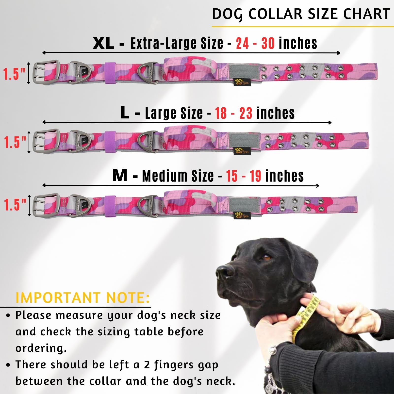ADITYNA collar con anilla D fuerte para sujeción segura durante entrenamiento.