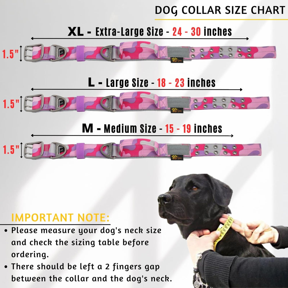 ADITYNA collar con anilla D fuerte para sujeción segura durante entrenamiento.