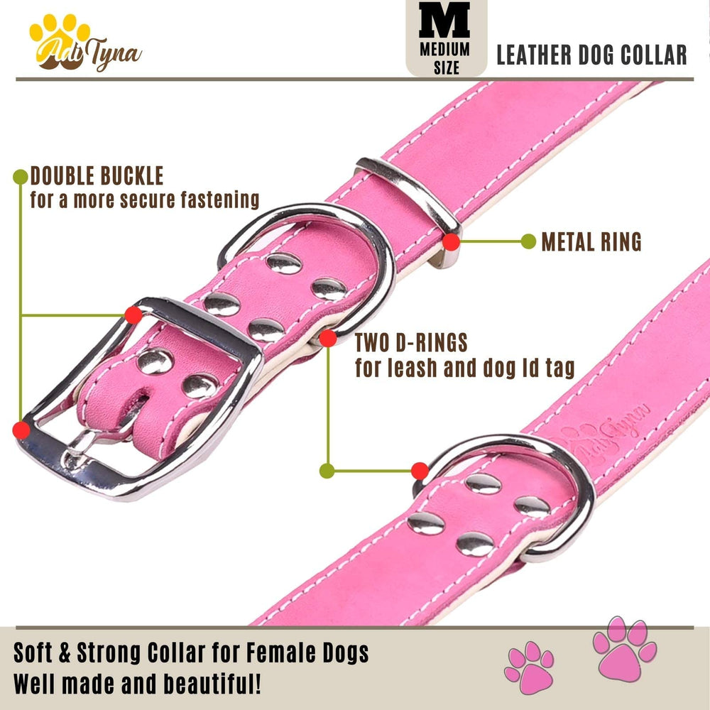 ADITYNA collar rosa, anillas en D duales para mayor control durante caminatas.