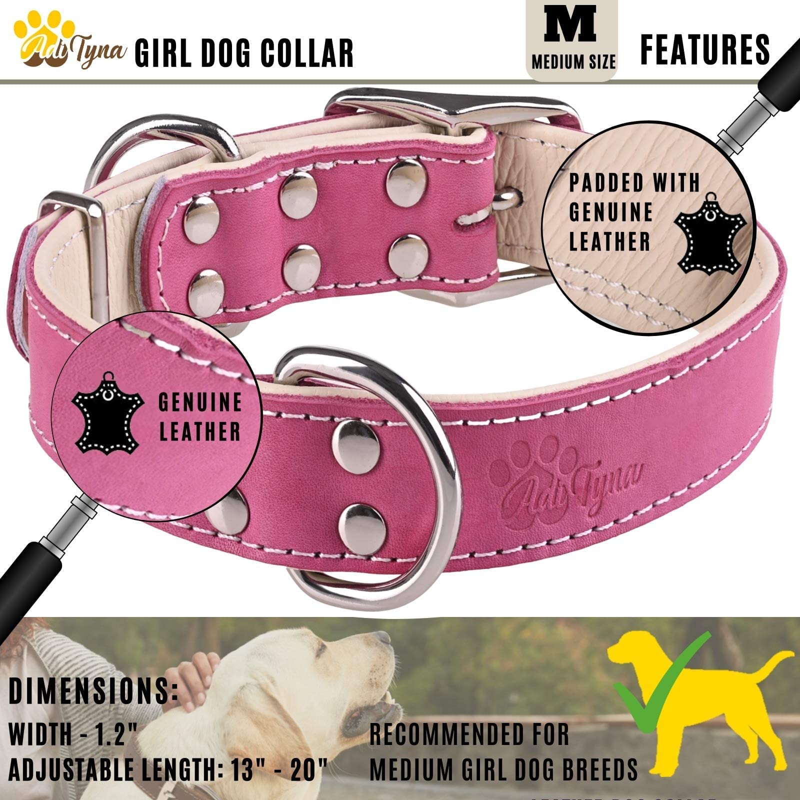 ADITYNA collar rosa, doble hebilla para seguridad en paseos y entrenamiento.