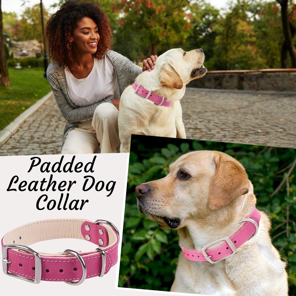 ADITYNA collar rosa de piel, interior acolchado cuida la piel sensible.