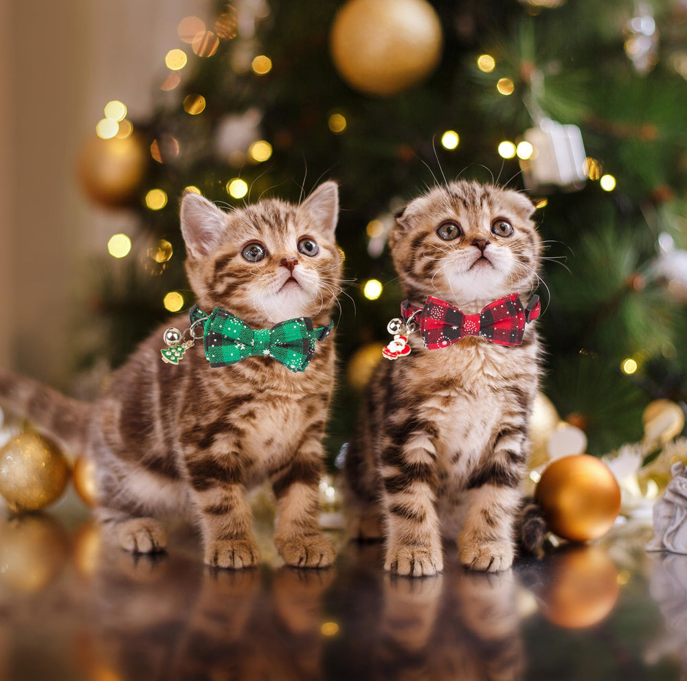 ADOGGYGO collar ajustable con dos tallas para gatos