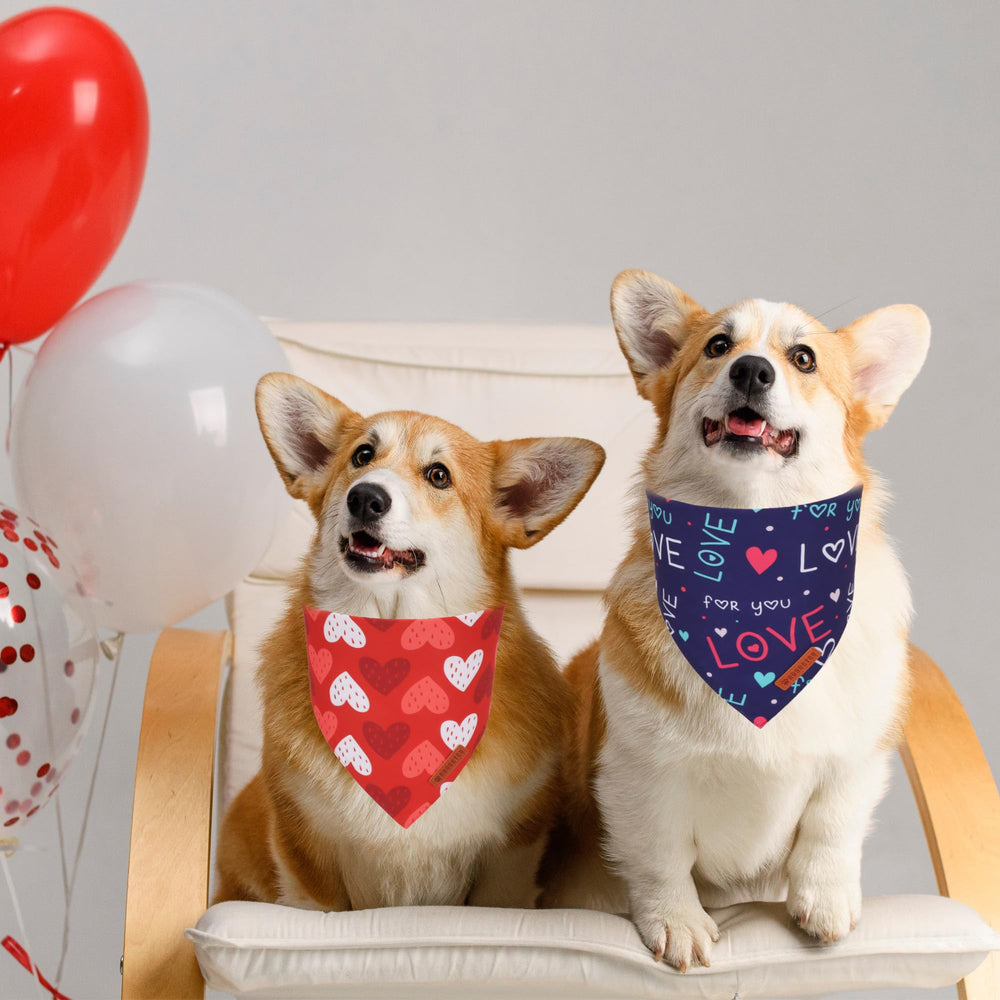 Bandana ADOGGYGO con ajuste de cuello para perros, cómodo y seguro