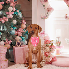 Bandana con ajuste de cuello rosa ADOGGYGO, se adapta cómodo a perros medianos.