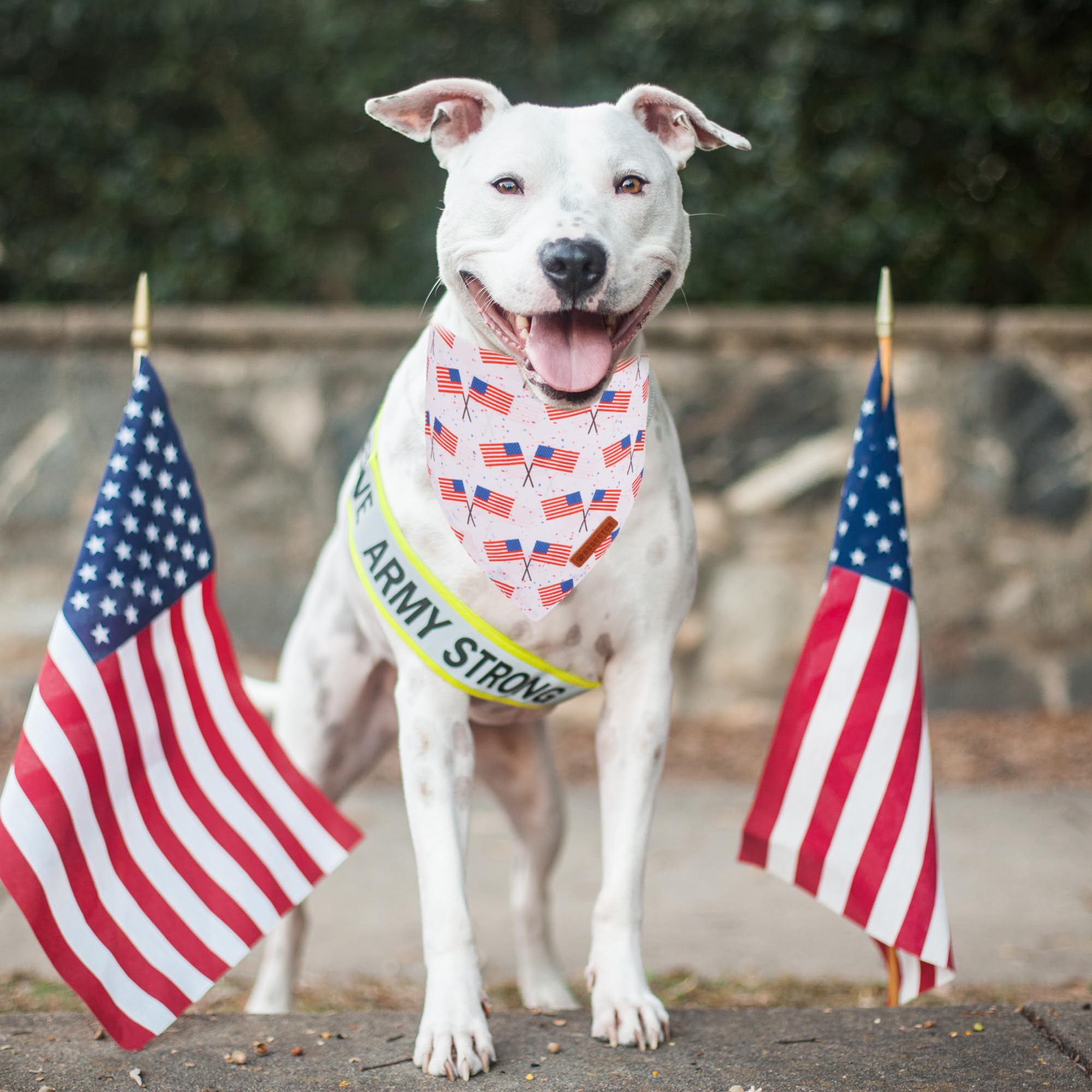 ADOGGYGO Bandana con ajuste para perros medianos y grandes, cómodo de llevar.