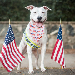 ADOGGYGO Bandana con ajuste para perros medianos y grandes, cómodo de llevar.