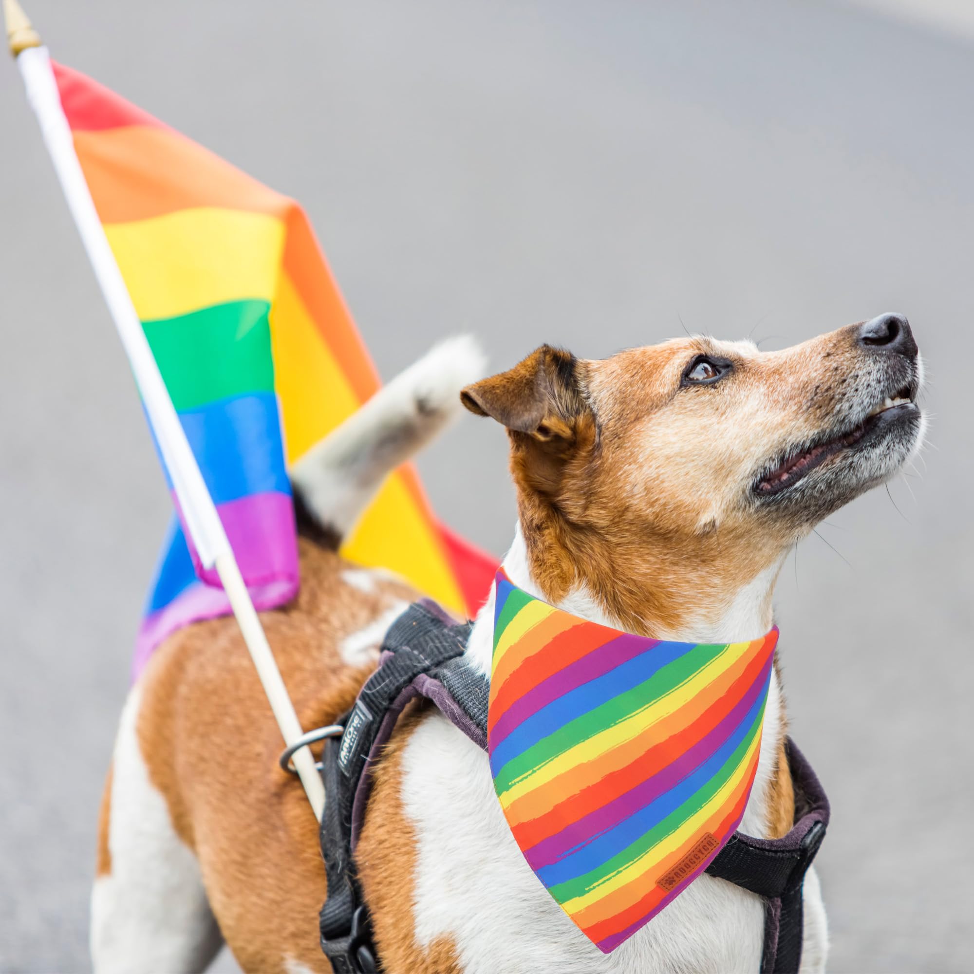 Bandana ajustable ADOGGYGO para perro, comodidad en paseos