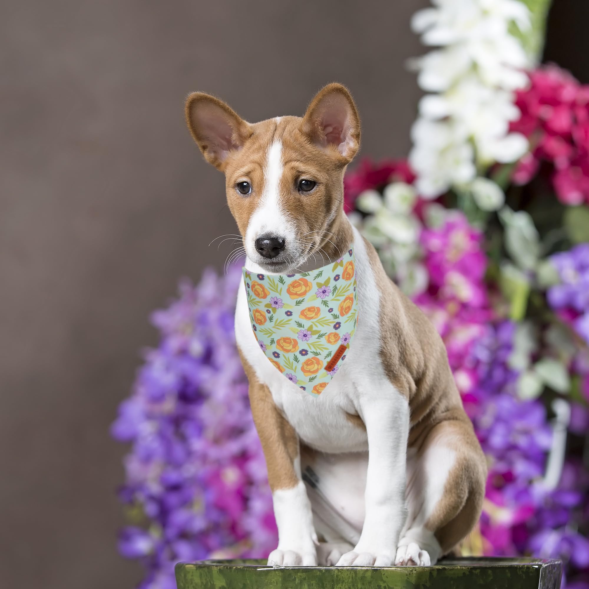 Ajuste cómodo de ADOGGYGO, bandana floral para cuello pequeño, ideal para paseos.