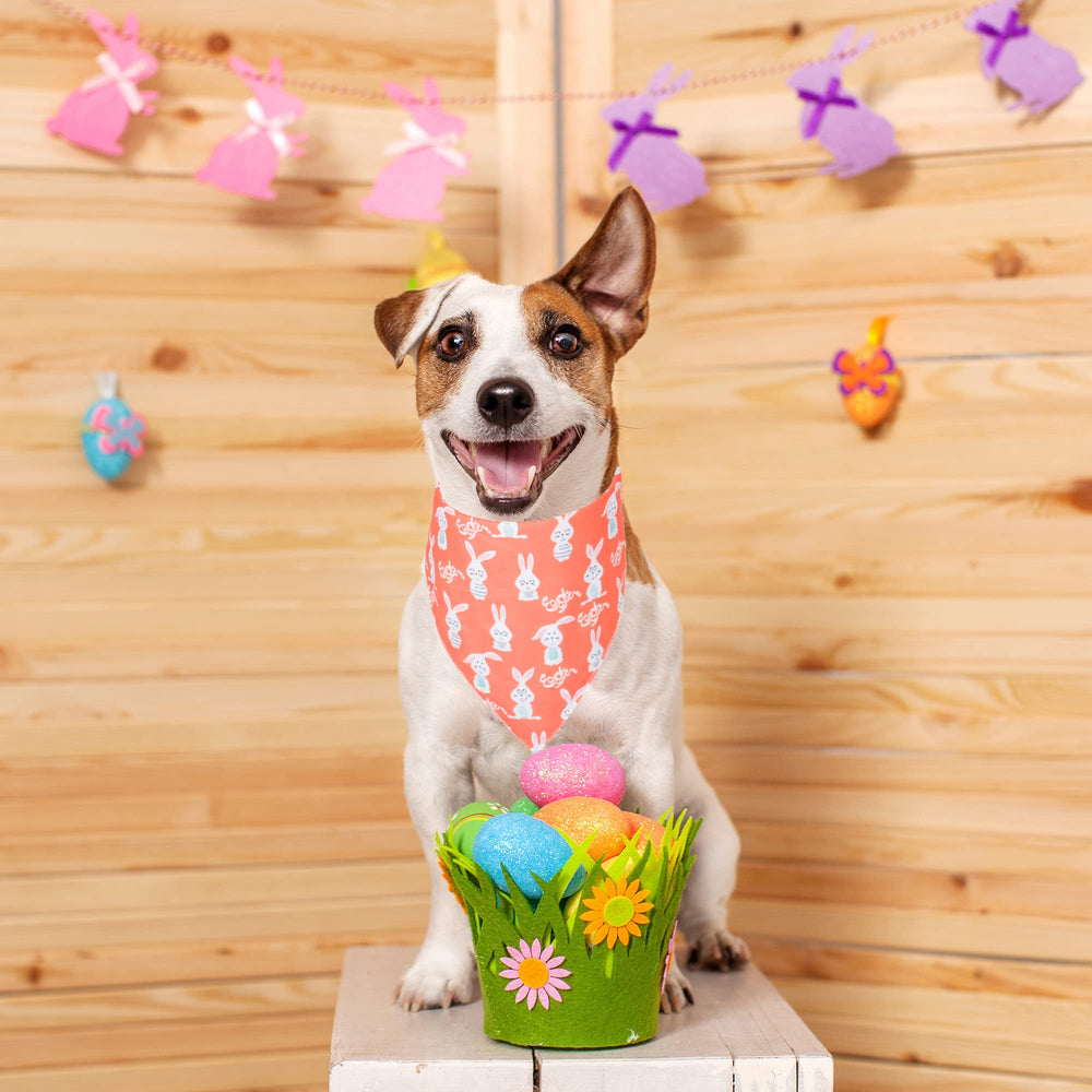 ADOGGYGO Bandana Pascua para fotos: complemento bonito para retratos caninos.