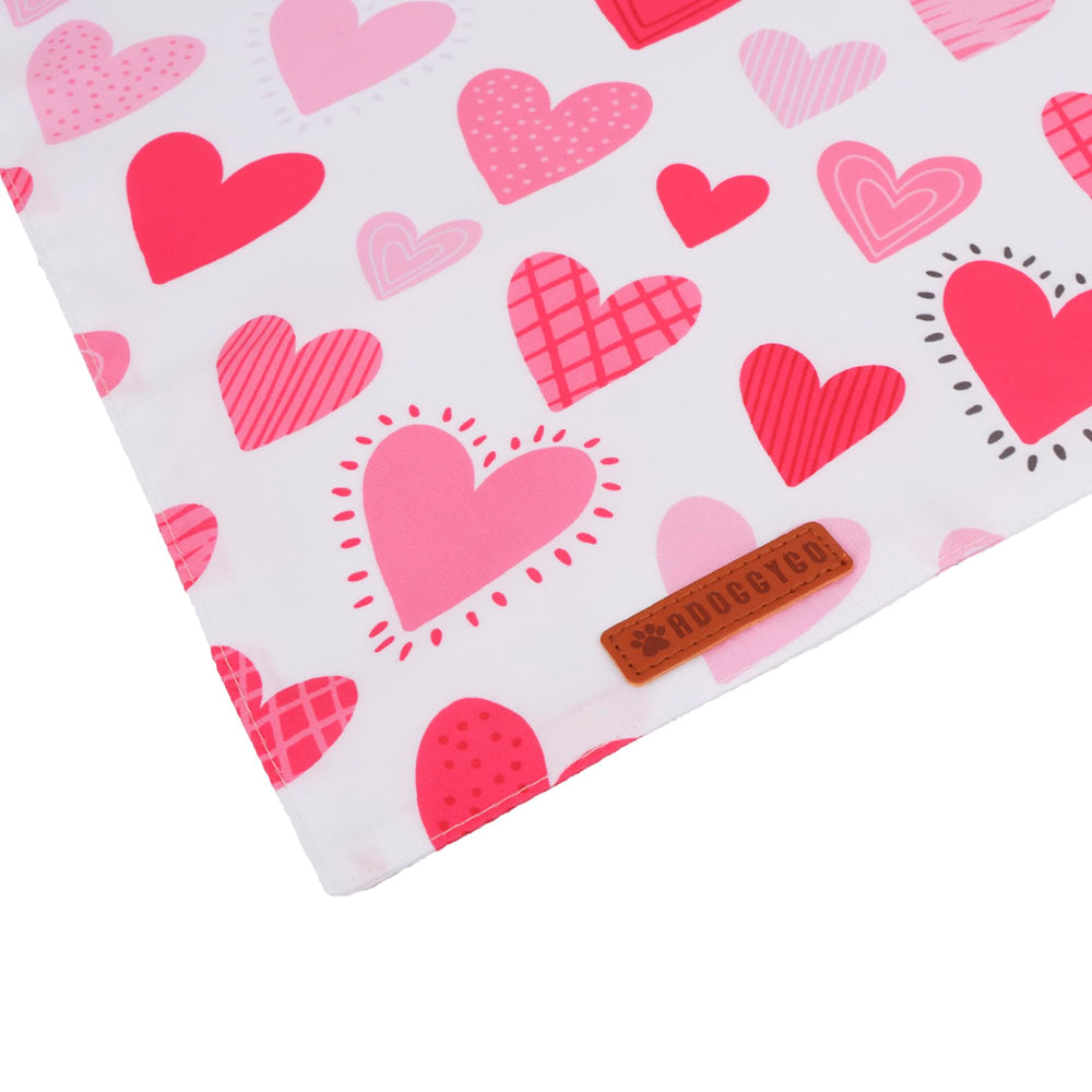 Paquete ADOGGYGO con dos bandanas azul y corazones.