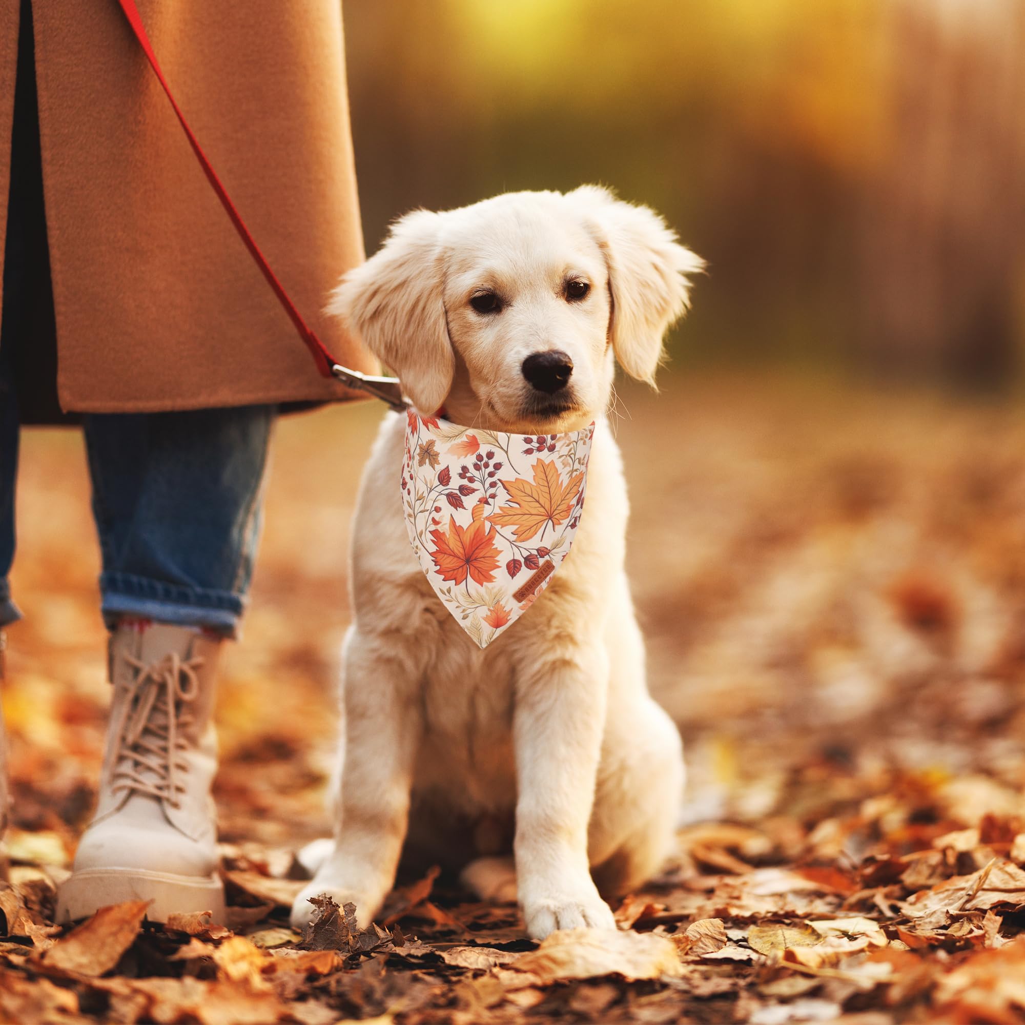 ADOGGYGO Bandana con ajuste doble para perro pequeño, cómodo