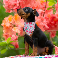 ADOGGYGO Bandana floral para perro, modelo amarillo con rosas, perfecto para fotos.