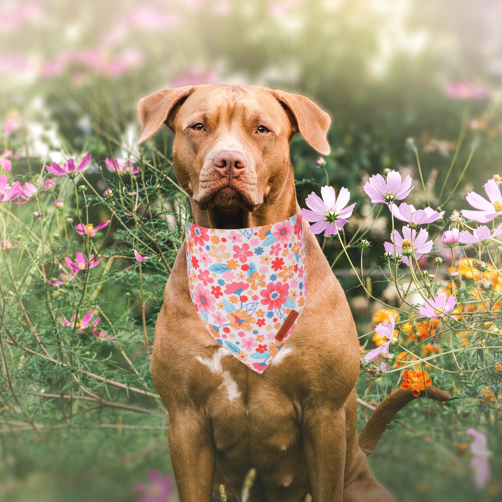 ADOGGYGO bandana floral rosa daisy espalda, versátil para cambios de look.