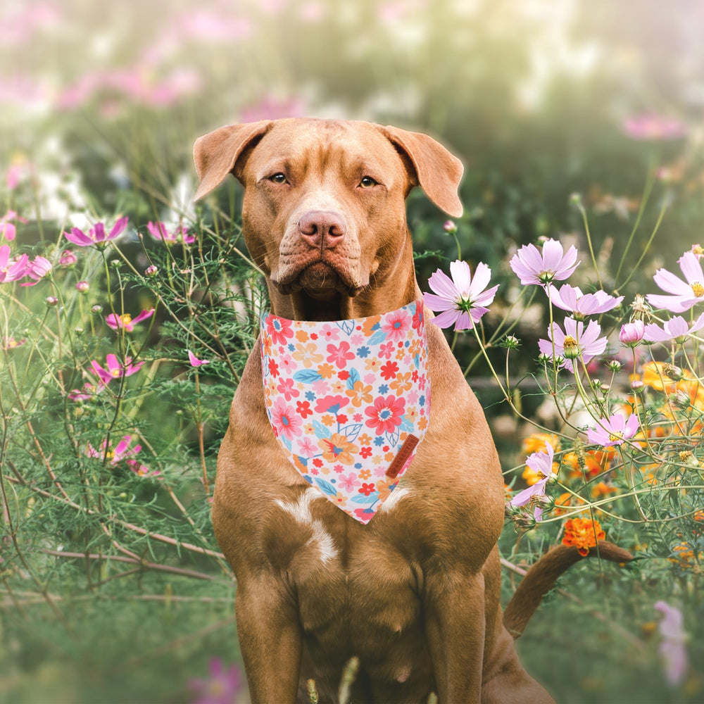 ADOGGYGO bandana floral rosa daisy espalda, versátil para cambios de look.