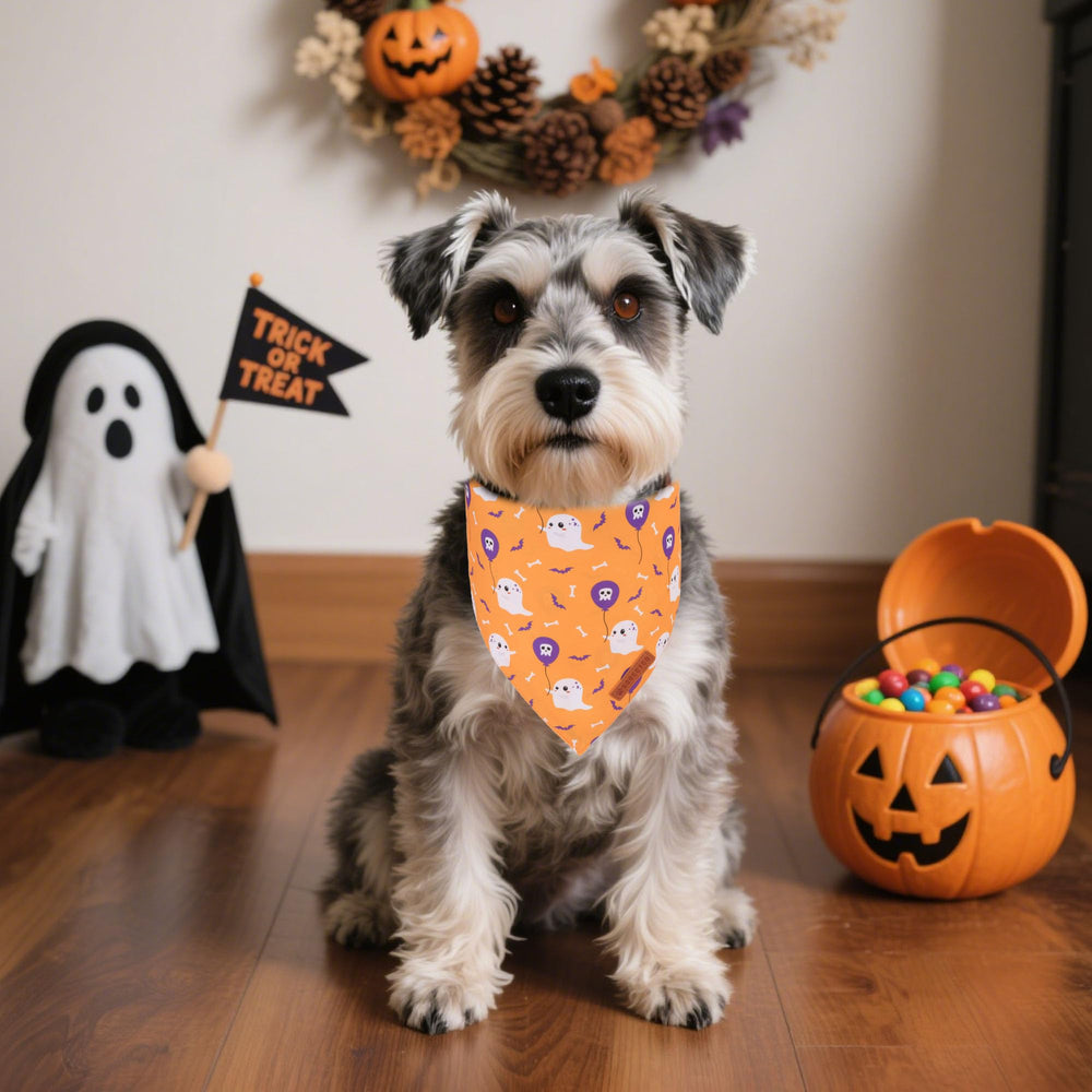 Bandana ADOGGYGO Halloween calavera con globo, perfecta para paseos temáticos.