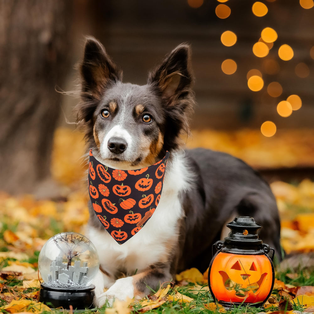 ADOGGYGO Bandana Halloween murciélagos, naranja vibrante, ideal para fotos festivas.