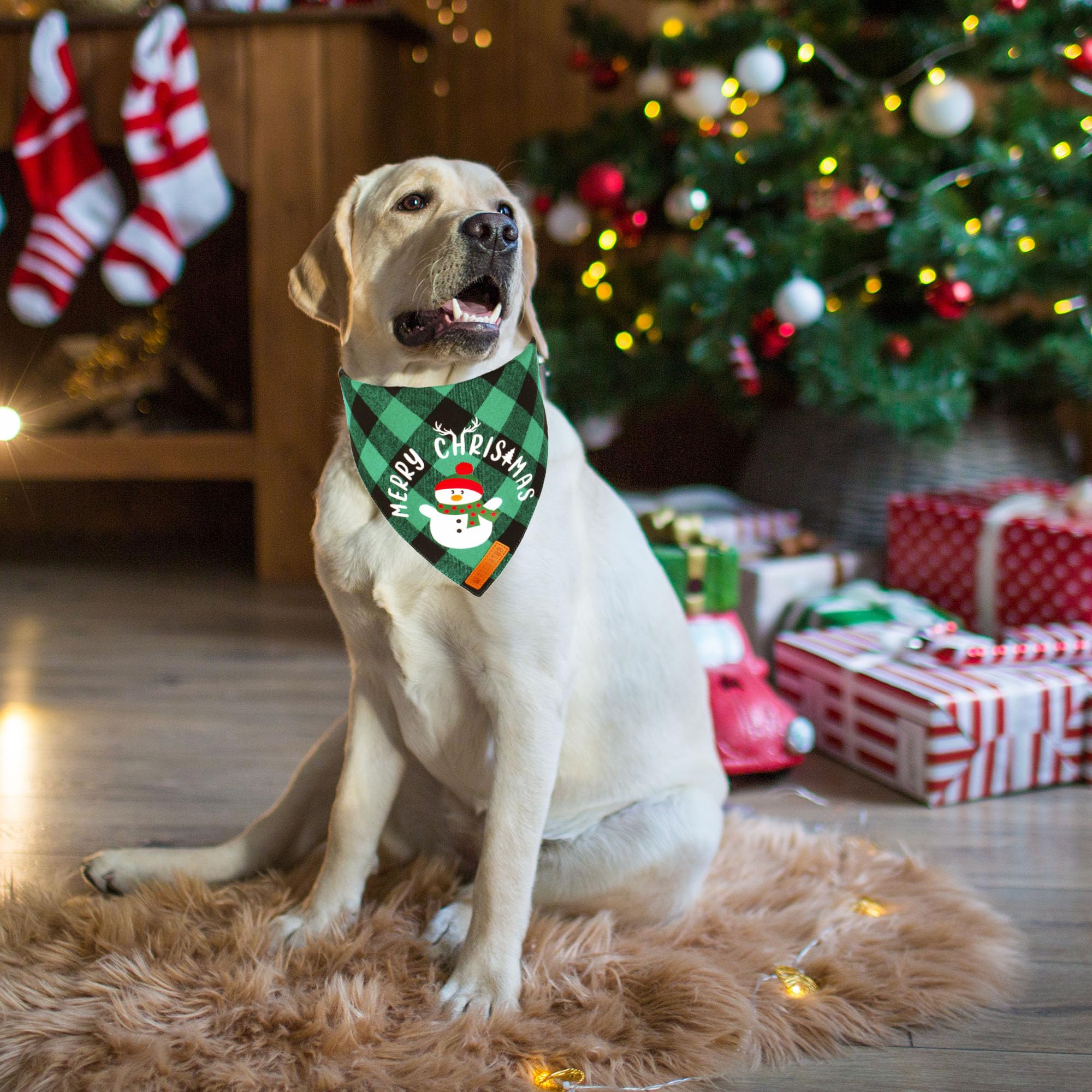 Bandana ADOGGYGO con muñeco de nieve, perfecta para sesiones de fotos navideñas.