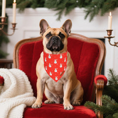 ADOGGYGO bandana navideña con patrón muneco-nieve para fotos festivas.